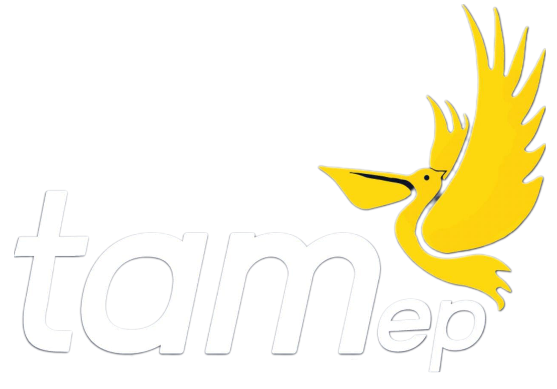 TAMEP